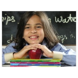 Curriculum and Syllabus