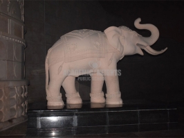 Excursions and Tours